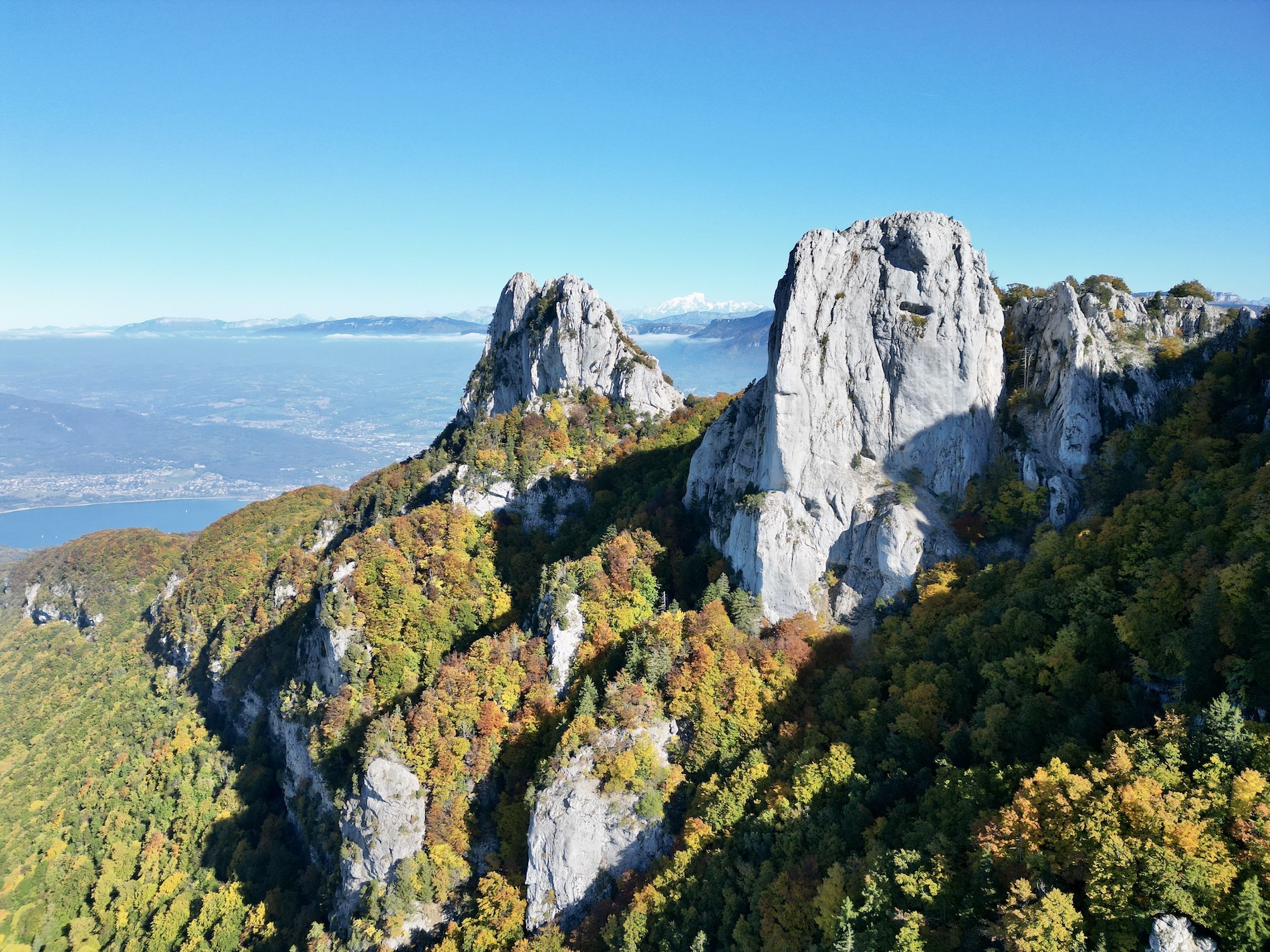 La dent du chat et le molard noir.